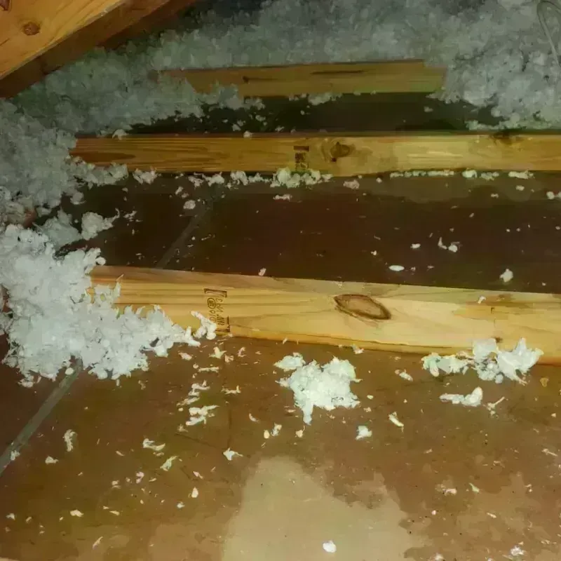 Attic Water Damage in Oakwood, OH