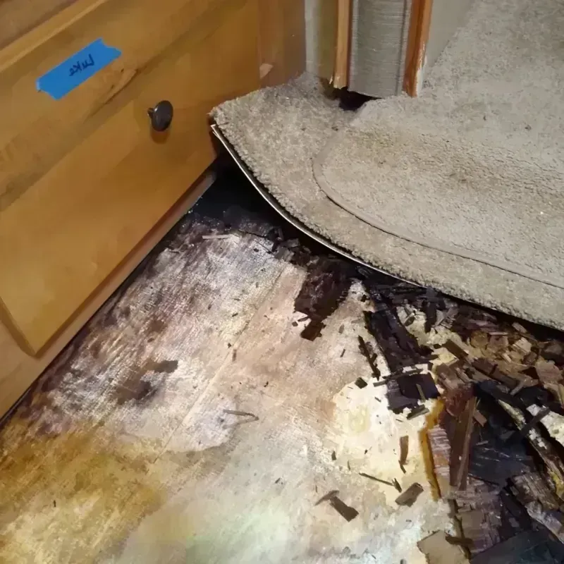 Best Wood Floor Water Damage Service in Oakwood, OH